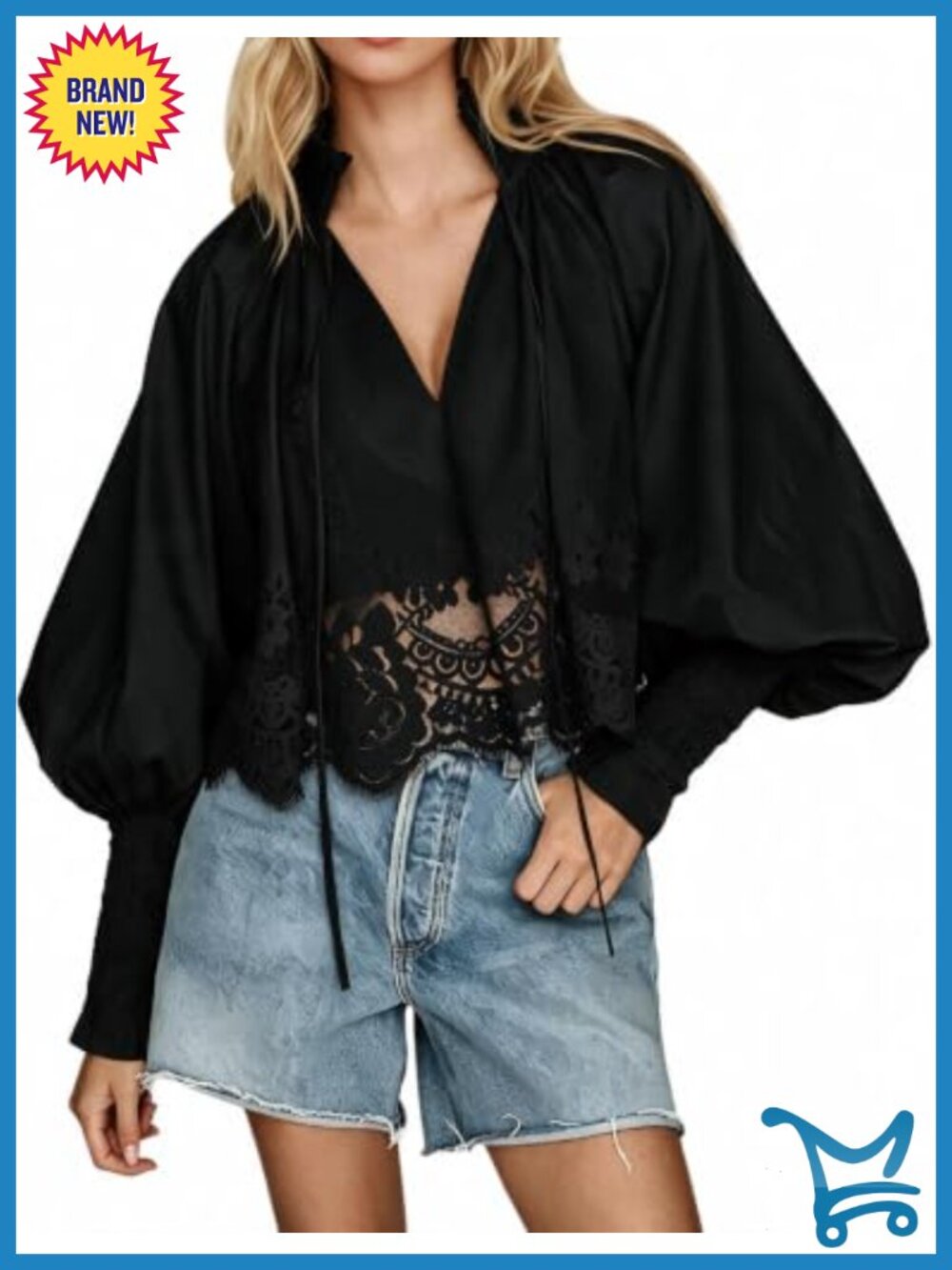 Lace Trim Puff Long Sleeve Tie V Neck Blouse Top